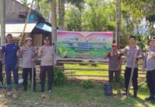 POLSEK DUA KOTO LAKSANAKAN PENANAMAN JAGUNG SERENTAK DALAM RANGKA KETAHANAN PANGAN